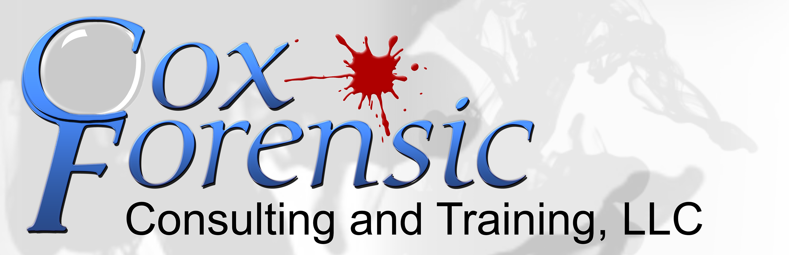 Cox Forensic Consulting and Training, LLC